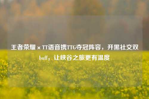 王者荣耀×TT语音携TTG夺冠阵容,开黑社交双buff,让峡谷之旅更有温度