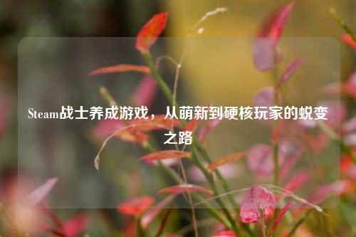 Steam战士养成游戏，从萌新到硬核玩家的蜕变之路
