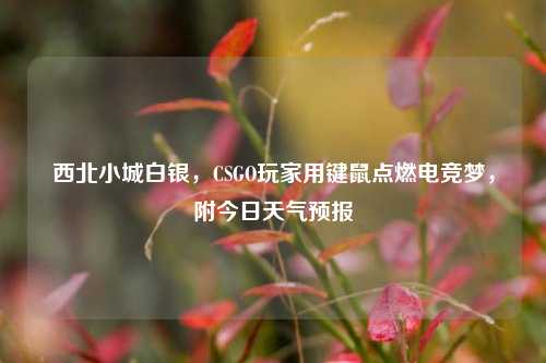 西北小城白银,CSGO玩家用键鼠点燃电竞梦,附今日天气预报