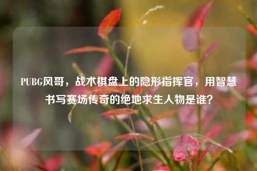 PUBG风哥，战术棋盘上的隐形指挥官，用智慧书写赛场传奇的绝地求生人物是谁？