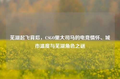 芜湖起飞背后，CSGO里大司马的电竞情怀、城市温度与芜湖角色之谜