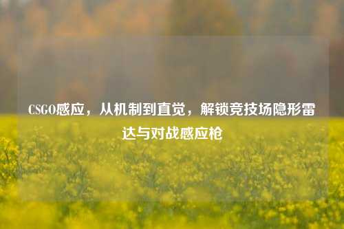 CSGO感应,从机制到直觉,解锁竞技场隐形雷达与对战感应枪