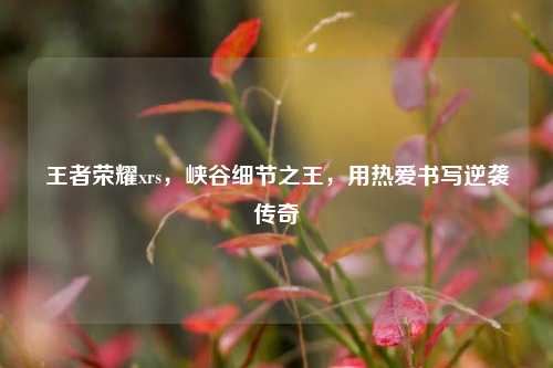 王者荣耀xrs，峡谷细节之王，用热爱书写逆袭传奇
