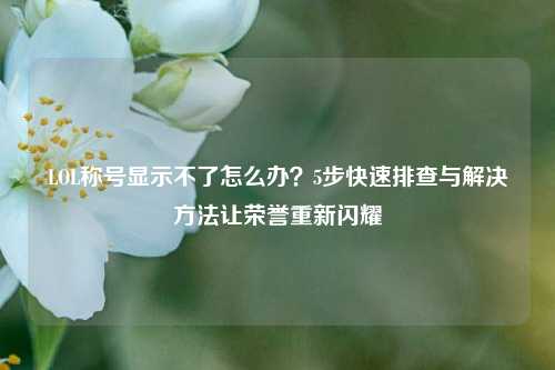 LOL称号显示不了怎么办？5步快速排查与解决 *** 让荣誉重新闪耀