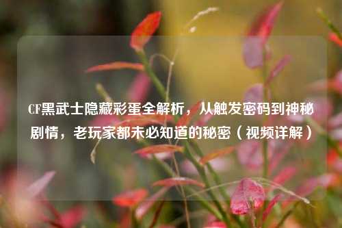 CF黑武士隐藏彩蛋全解析，从触发密码到神秘剧情，老玩家都未必知道的秘密（视频详解）