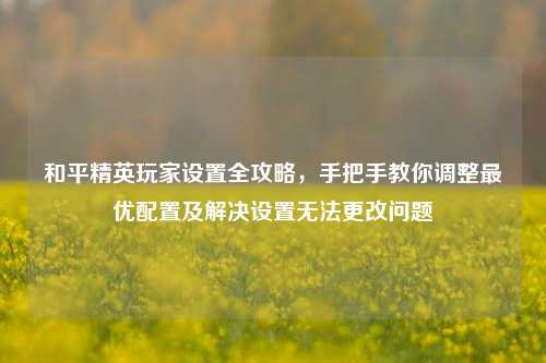 和平精英玩家设置全攻略，手把手教你调整更优配置及解决设置无法更改问题