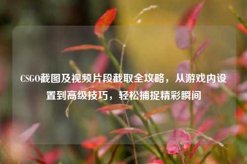 CSGO截图及视频片段截取全攻略，从游戏内设置到高级技巧，轻松捕捉精彩瞬间