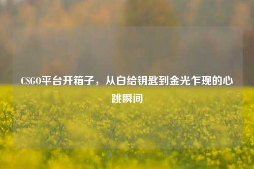 CSGO平台开箱子，从白给钥匙到金光乍现的心跳瞬间
