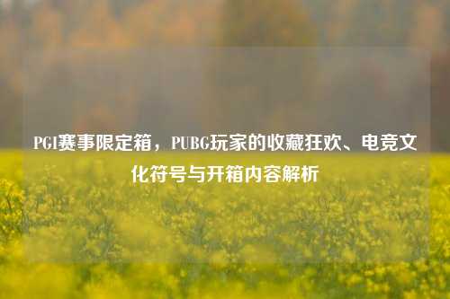 PGI赛事限定箱,PUBG玩家的收藏狂欢、电竞文化符号与开箱内容解析