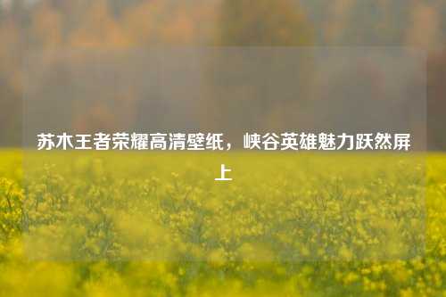 苏木王者荣耀高清壁纸，峡谷英雄魅力跃然屏上