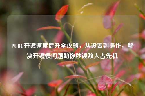 PUBG开镜速度提升全攻略，从设置到操作，解决开镜慢问题助你秒锁敌人占先机