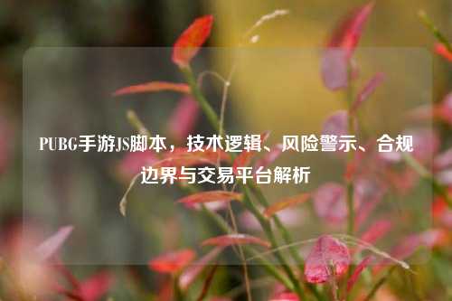 PUBG手游 *** 脚本,技术逻辑、风险警示、合规边界与交易平台解析