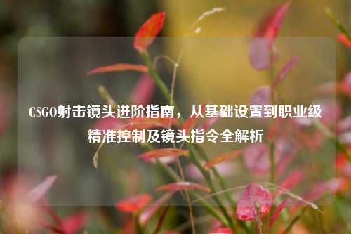 CSGO射击镜头进阶指南，从基础设置到职业级精准控制及镜头指令全解析