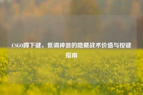CSGO蹲下键,低调神器的隐藏战术价值与按键指南