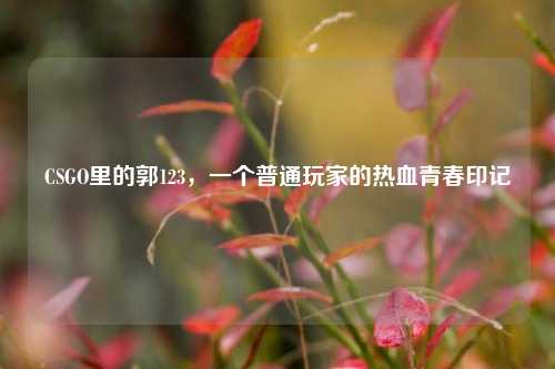 CSGO里的郭123，一个普通玩家的热血青春印记