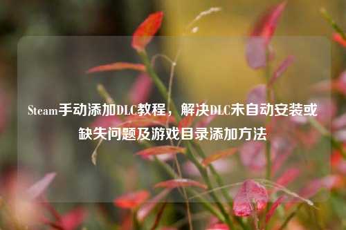 Steam手动添加DLC教程,解决DLC未自动安装或缺失问题及游戏目录添加 ***