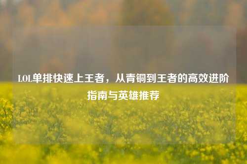 LOL单排快速上王者,从青铜到王者的高效进阶指南与英雄推荐