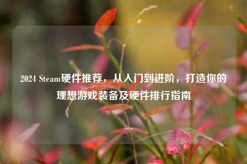 2024 Steam硬件推荐,从入门到进阶,打造你的理想游戏装备及硬件排行指南