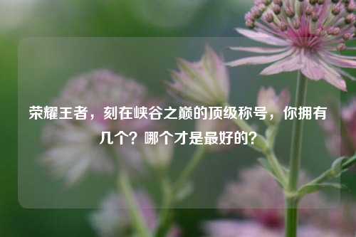 荣耀王者，刻在峡谷之巅的顶级称号，你拥有几个？哪个才是更好的？