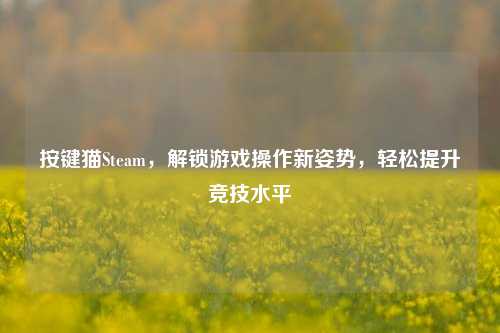 按键猫Steam，解锁游戏操作新姿势，轻松提升竞技水平