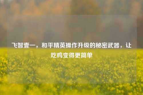 飞智壹一，和平精英操作升级的秘密武器，让吃鸡变得更简单