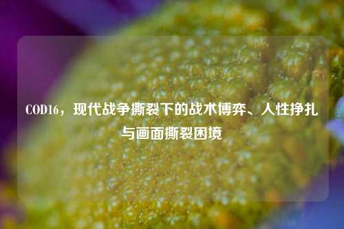 COD16，现代战争撕裂下的战术博弈、人性挣扎与画面撕裂困境