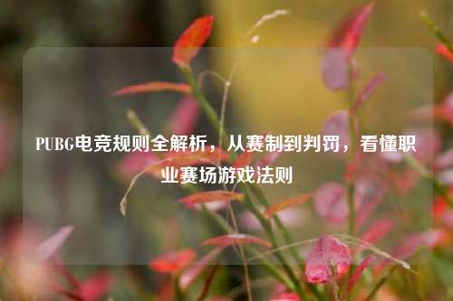 PUBG电竞规则全解析，从赛制到判罚，看懂职业赛场游戏法则
