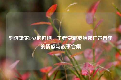 刻进玩家DNA的回响,王者荣耀英雄死亡声音里的情感与故事合集