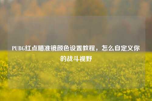 PUBG红点瞄准镜颜色设置教程,怎么自定义你的战斗视野