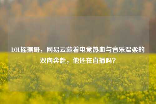 LOL摇摆哥,网易云藏着电竞热血与音乐温柔的双向奔赴,他还在直播吗?