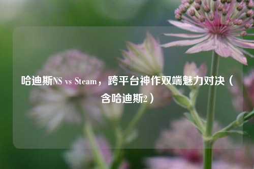 哈迪斯NS vs Steam，跨平台神作双端魅力对决（含哈迪斯2）