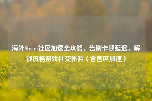 海外Steam社区加速全攻略,告别卡顿延迟,解锁流畅游戏社交体验(含国区加速)