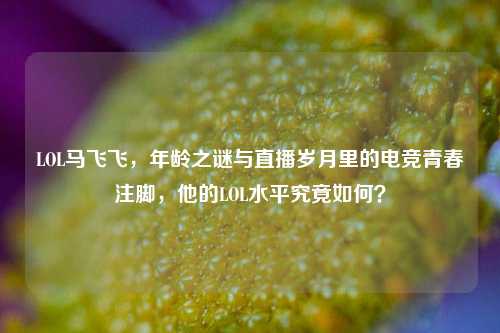 LOL马飞飞,年龄之谜与直播岁月里的电竞青春注脚,他的LOL水平究竟如何?