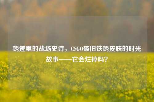 锈迹里的战场史诗，CSGO破旧铁锈皮肤的时光故事——它会烂掉吗？