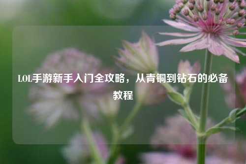 LOL手游新手入门全攻略,从青铜到钻石的必备教程