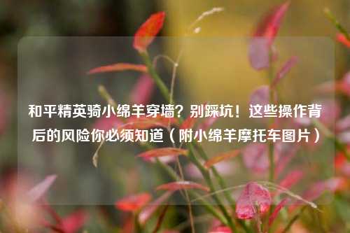 和平精英骑小绵羊穿墙？别踩坑！这些操作背后的风险你必须知道（附小绵羊摩托车图片）
