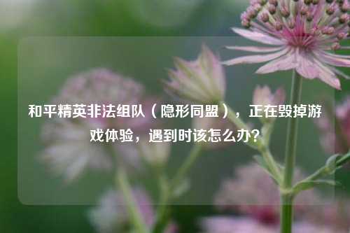 和平精英非法组队（隐形同盟），正在毁掉游戏体验，遇到时该怎么办？