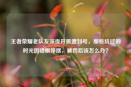 王者荣耀老队友深夜开黑遭封号，那些坑过的时光因错棋停摆，被罚后该怎么办？