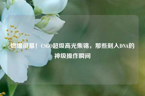 燃爆屏幕!CSGO超级高光集锦,那些刻入DNA的神级操作瞬间