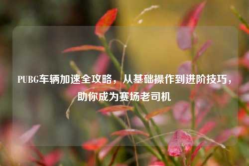 PUBG车辆加速全攻略，从基础操作到进阶技巧，助你成为赛场老司机