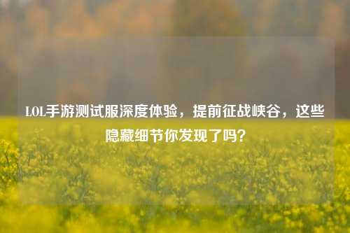 LOL手游测试服深度体验，提前征战峡谷，这些隐藏细节你发现了吗？