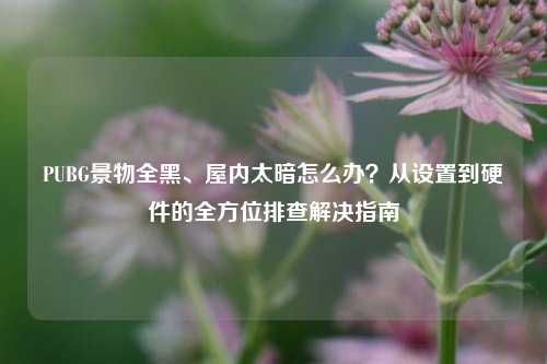 PUBG景物全黑、屋内太暗怎么办？从设置到硬件的全方位排查解决指南
