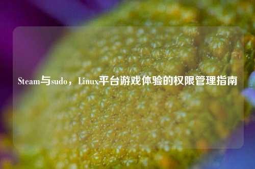 Steam与sudo，Linux平台游戏体验的权限管理指南