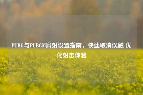 PUBG与PUBGM肩射设置指南，快速取消误触 优化射击体验