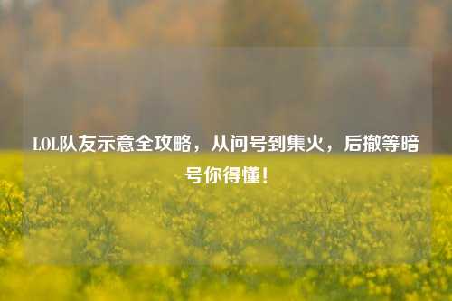 LOL队友示意全攻略,从问号到集火,后撤等暗号你得懂!