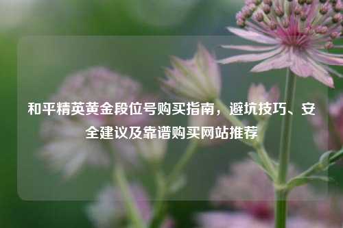 和平精英黄金段位号购买指南,避坑技巧、安全建议及靠谱购买网站推荐