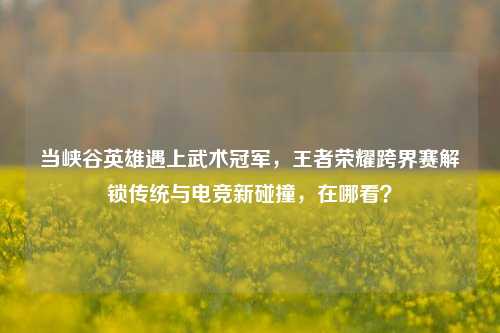当峡谷英雄遇上武术冠军，王者荣耀跨界赛解锁传统与电竞新碰撞，在哪看？