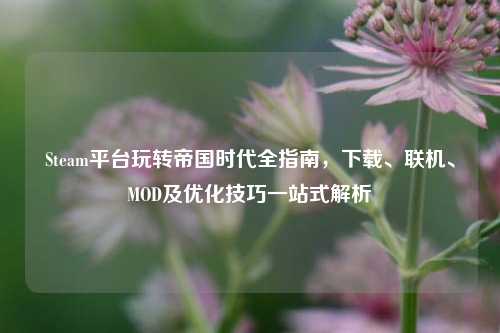 Steam平台玩转帝国时代全指南,下载、联机、MOD及优化技巧一站式解析