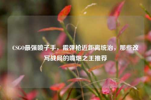 CSGO最强喷子手,霰弹枪近距离统治,那些改写战局的嘴炮之王推荐