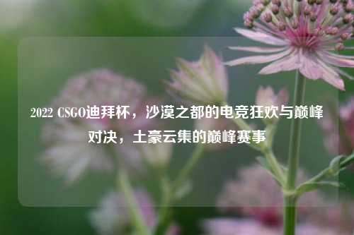 2022 CSGO迪拜杯,沙漠之都的电竞狂欢与巅峰对决,土豪云集的巅峰赛事